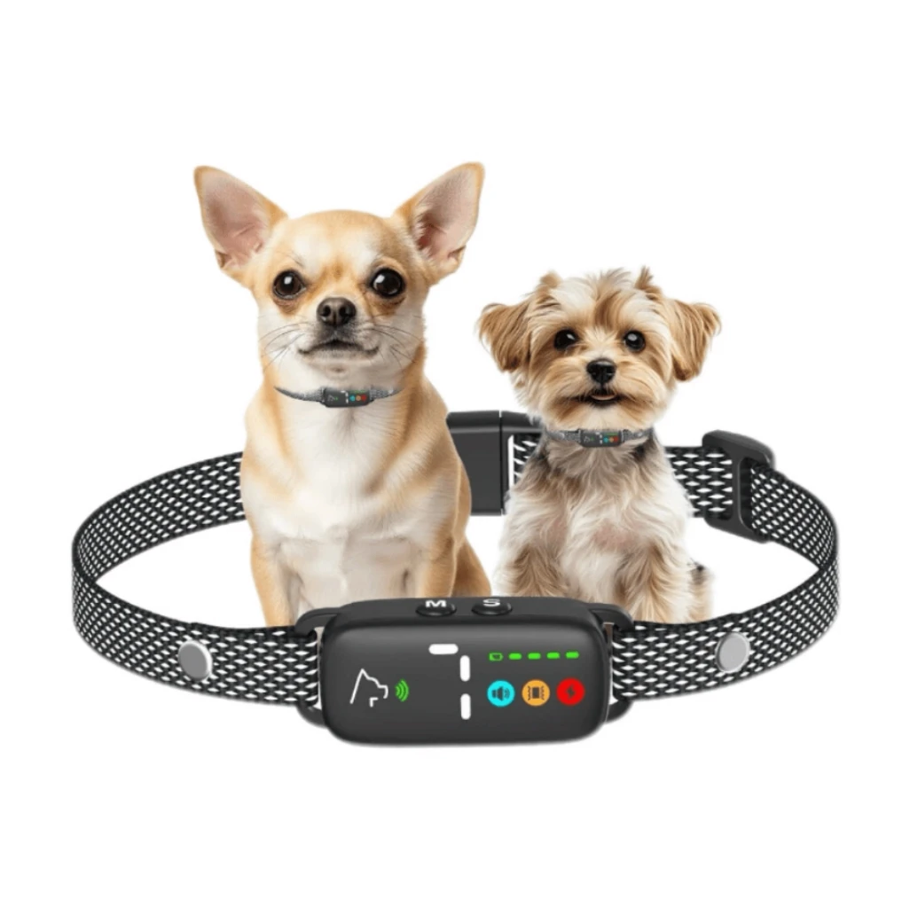 Guler de lătrat de câine